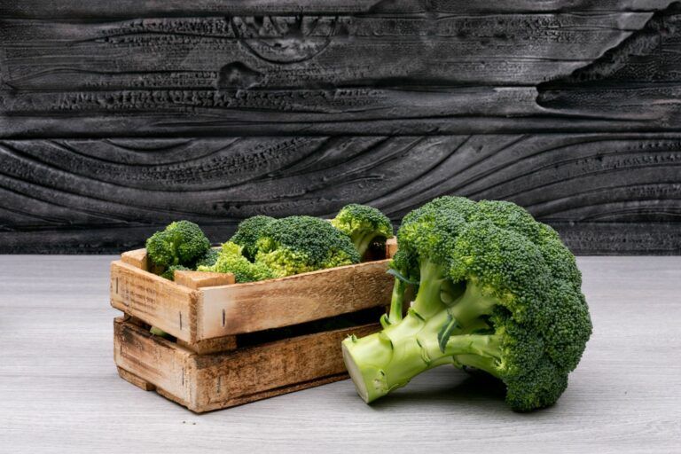 9 IMPRESSIVE BROCCOLI NUTRITION FACTS AND HEALTH BENEFITS visual data 3